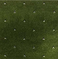 Ковролин Ковротекс София 6003 фото 1 | FLOORDEALER